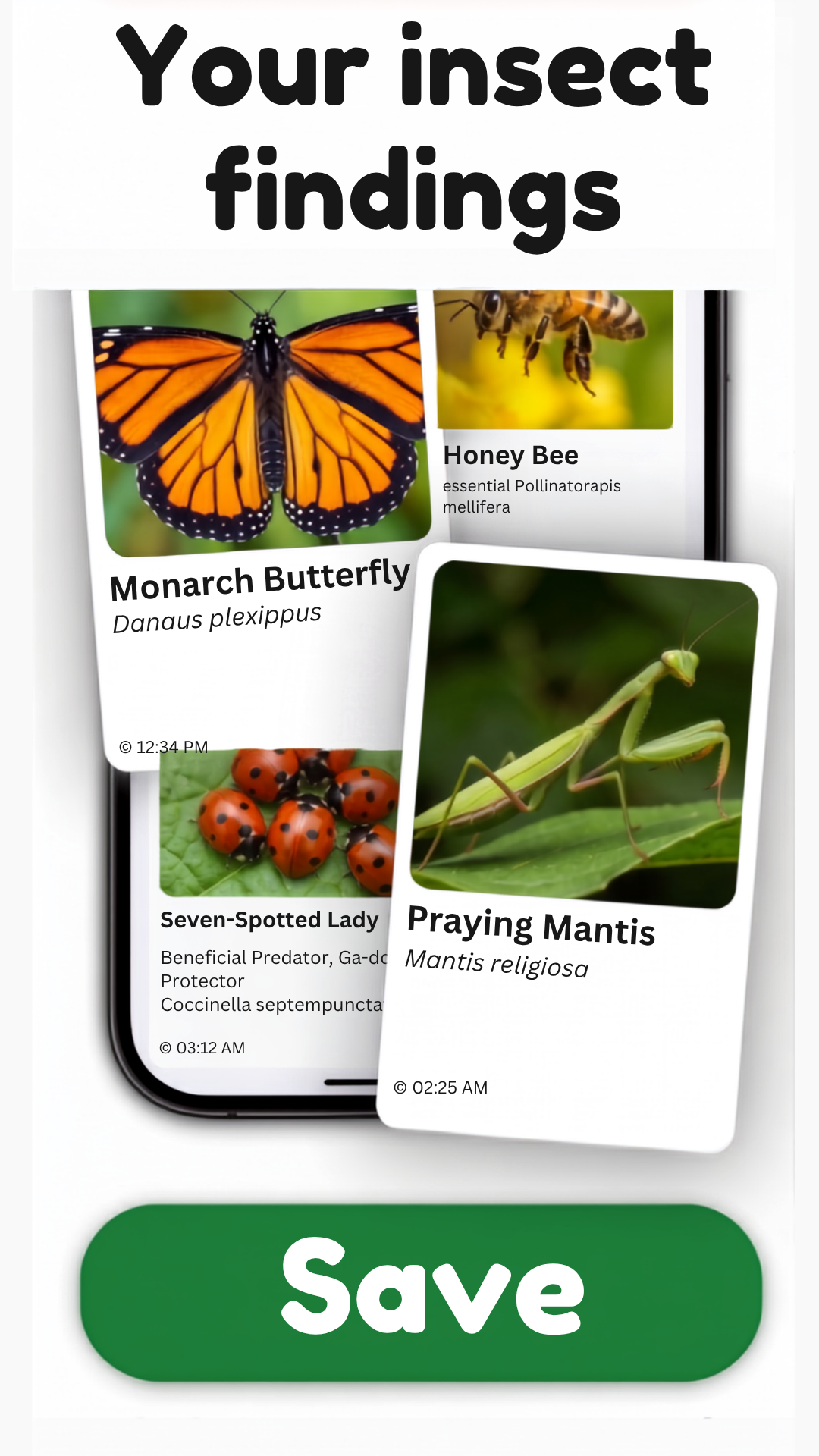 AI analyzing insect features