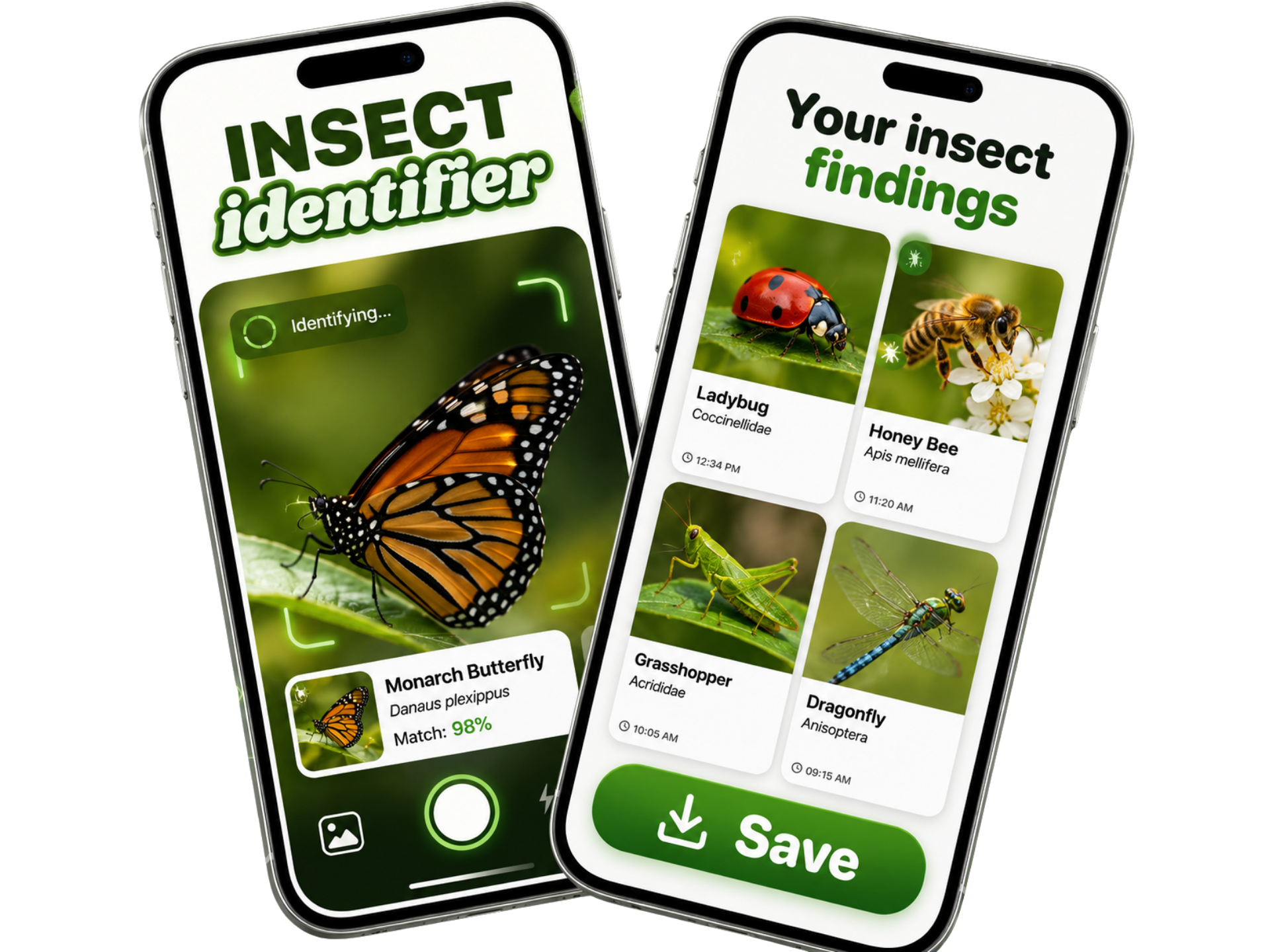 Insect Identifier AI scanner app interface showing insects species identification