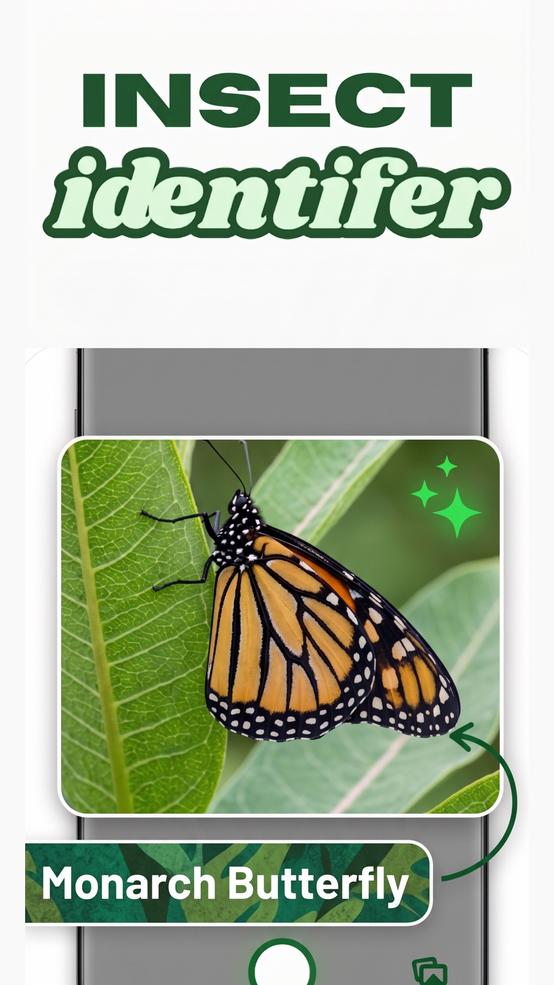 Scanning insect with smartphone